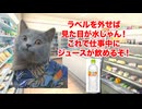 【透明飲料】一時期流行って即終了！？透明飲料ブームの栄光と衰退 #猫マニ #猫ミーム