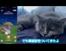 【モンハンnow】テオハンマーを軽めにお試し！