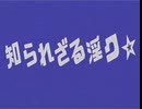INM日曜日の夜のドキュメント番組(知られざる淫ク☆)