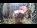 猫ミームの次に流行った()『鳥ミーム』□ぁ”ぁ”ぁ”あ”あ”あ”あ”あ”！！！！【鳥ミーム】