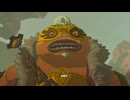 グレてるじゃねぇか【ゼルダの伝説 ティアーズ オブ ザ キングダム】実況プレイpart48