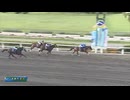第28回さきたま杯 レモンポップ