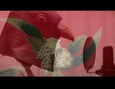 【低音野郎が歌ってみた】睨めっ娘 / 友成空【はと。】