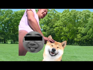 かわいい柴犬とMURが遊んでるだけの動画