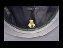 シンプル車載動画　　南国リゾート