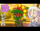 酔いどれドライバーセイカさん #565【マリオカート8DX】