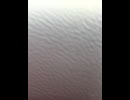 74564651690__34332E59-0A2C-4357-9299-FBB4ECFCCC25