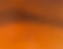 74565006476__4378BDA7-ADEB-44B4-A28B-5D3E108A2207
