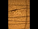 74565025452__3F549E2A-E812-4F95-88B8-739280E440F1