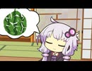 スイカ割りがしたいゆかりさん【VOICEROID劇場】