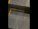 74565289869__3250C800-031A-40F6-AAA6-4F32447A0337