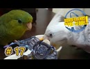 字幕付き実況【#BorderlandsThePreSequel】グレネードだ！地面にキスをしろ！
