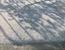 74565935558__DA3A593B-2C37-4DE9-BFC3-D04FC30461AD