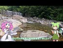 【前編】渓流釣りに挑むずんだもん【トラウト】