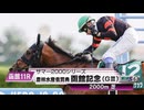 【競馬】2024年 第60回函館記念(GⅢ)【ホウオウビスケッツ / 岩田康誠】