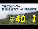 #40-1 エルデンリングを 初見で【協力プレイ】するのです