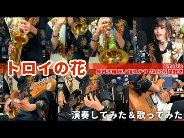 『トロイの花 / Amable』演奏してみた＆歌ってみた【ボカデュオ2024カバー】