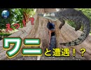 【無料版】●MM Trip●【エジプト編】【第26章 エジプトの村に行ったら、ワニに遭遇！？ 】