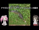 ナマズに学ぶルアーフィッシングの基本　part2【VOICEROIDフィッシング】四国めたんと中国うさぎ　　