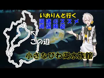 湖道のススメ～えきまちテラス長浜-小さなびわ湖水族館～湖国周遊019