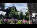 【白山神社】怒涛の紫陽花3,000株～ツーリング写真旅～【Cevio車載】