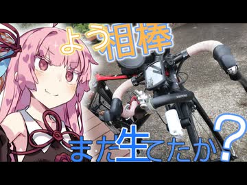 【新シリーズ】かえってきたロードバイク【ただいま編】