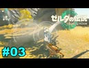 【ゆっくり実況】ティアキンぜんぶやる #03