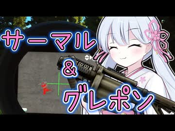 つくよみちゃんがIRで索敵してグレポンで爆殺するだけ【タルコフ】
