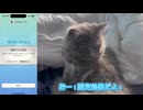 猫モンハンnow部！破壊王確定！？必殺技でガチャを導きし猫