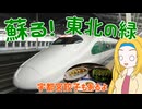 【新幹線乗り放題 at East】#6 東北新幹線を途中下車で楽しむ！福島と宇都宮