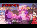 【幻想のヴァルキューレ】紅魔館の魔女！パチュリー・ノーレッジ！！＃4【アーリーアクセス版】