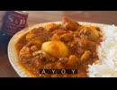 【ガチ解説】無水カレー