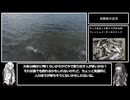 アリミリ姉妹の淡路島海釣り日記Part.5