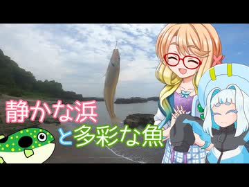 そらさんと釣りの思い出３７～静かな浜と多彩な魚～