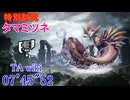 【MHRise:SB/PS5】特別討究:タマミツネ スラアク 07’45”52 TA wiki rules
