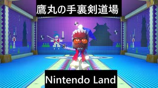 【実況プレイ】Nintendo Land鷹丸の手裏剣道場やるよ