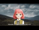 8月24.25日の馬券情報を無料でニコニコ生放送にて公開します　/　【軸馬が走る