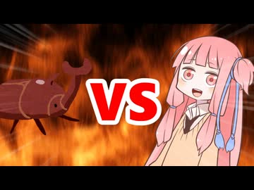 茜ちゃんVSカブトムシ