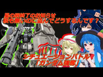 しおてんぷらのバトオペ２　part90