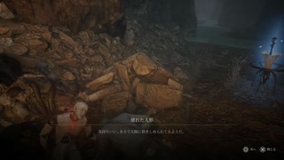 副背後の「LIES　OF　P」　44の嘘