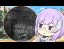 形も積み方も変…【プラノ・コンヴェクス煉瓦】_ひとくちメソポタミア