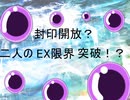 東方ポタラ合体！ルーミア フラン