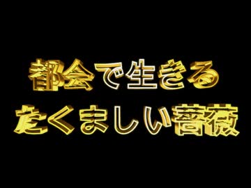 都会で生きるたくましい薔薇