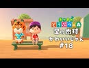 ゴメスは靴下はかないらしい【あつまれ どうぶつの森】#18
