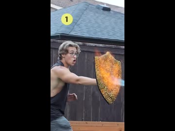 ホモと見るパイナップルの皮で出来た盾