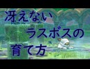 《実況》星のカービィ　Wiiデラックス　おまけPart2