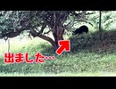 平和は平和です…【熊】