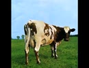 Atom Heart Mother Suite