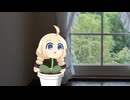 あかり草と梅雨。