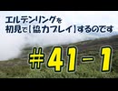 #41-1 エルデンリングを 初見で【協力プレイ】するのです
